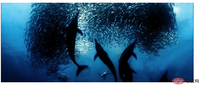 h5+js如何實現視頻播放？簡單視頻播放器控件的制作