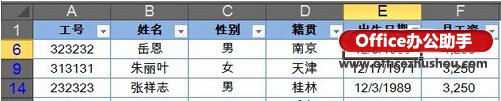 excel2013篩選 Excel2013中的篩選的使用方法