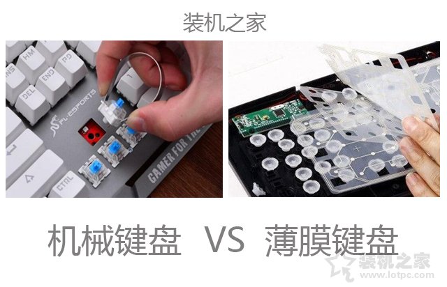 機械鍵盤怎么選？這篇文章讓你秒懂機械鍵盤和普通鍵盤的區別