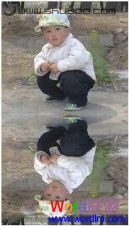 圖片倒影 在Word2007文檔里設置圖片倒影的效果