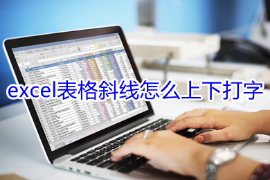 excel表格斜線怎么上下打字 excel表格斜線上下打字的方法-站長資訊網