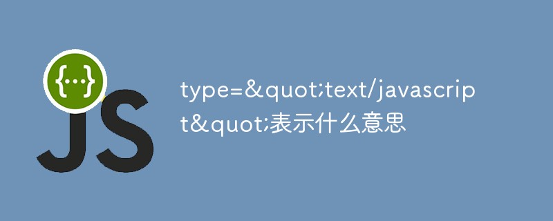 type="text/javascript"表示什么意思