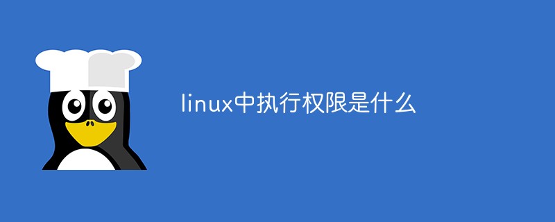 linux中執行權限是什么