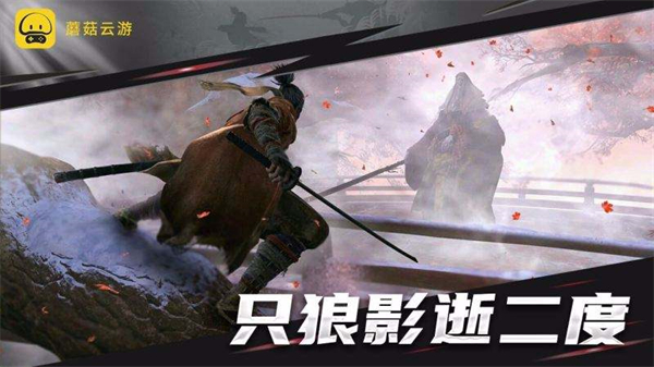 蘑菇云游戲兌換碼2022 蘑菇云游戲兌換碼真實有效