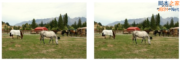 處理網頁圖片最常見的10個錯誤及解決方案