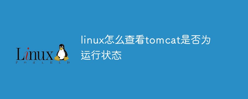 linux怎么查看tomcat是否為運行狀態
