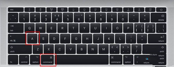 全選是ctrl加什么 電腦全選是ctrl加什么