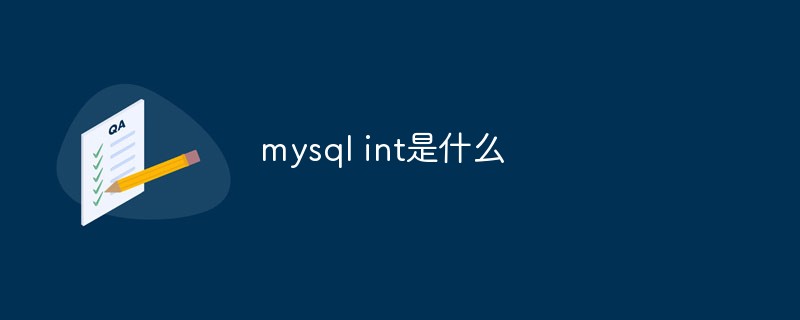 mysql int是什么
