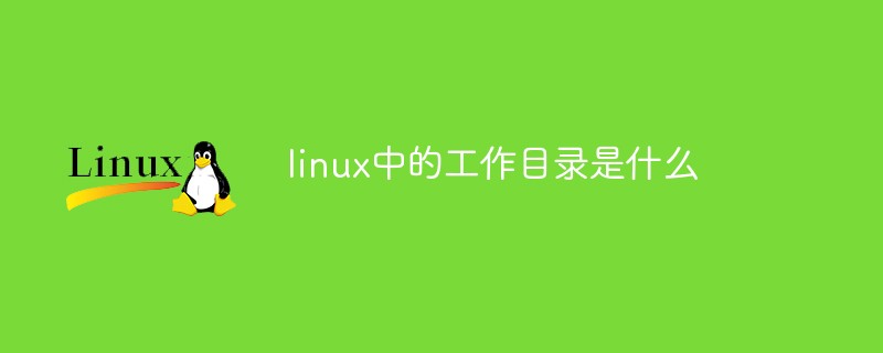 linux中的工作目錄是什么