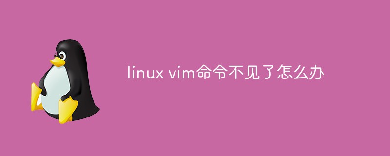 linux vim命令不見了怎么辦
