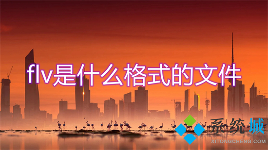 flv是什么格式的文件 flv和mp4什么區別