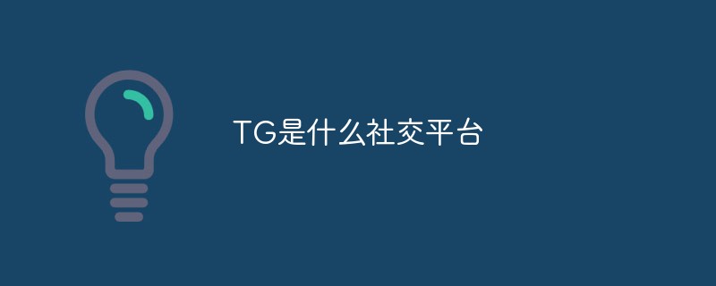 TG是什么社交平臺