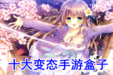 十大變態(tài)手游盒子 滿vip變態(tài)手游盒子哪個(gè)好