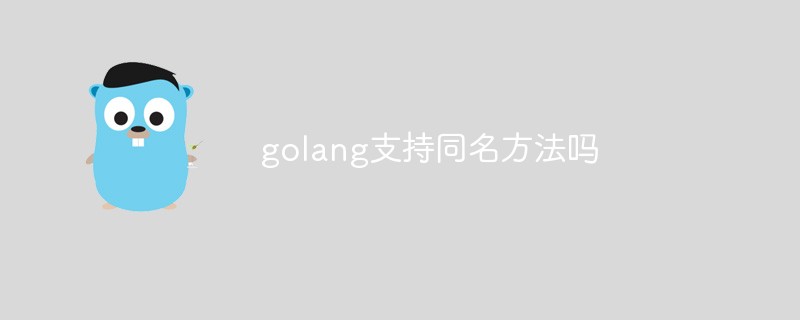 golang支持同名方法嗎