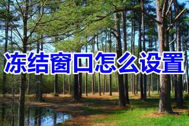 凍結窗口怎么設置 excel表格凍結窗口的設置方法