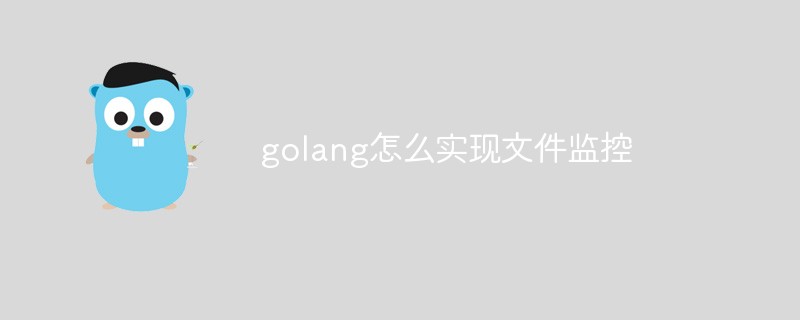 golang怎么實現(xiàn)文件監(jiān)控