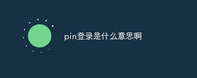 pin登錄是什么意思啊