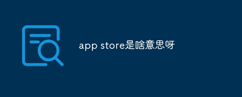 app store是啥意思呀