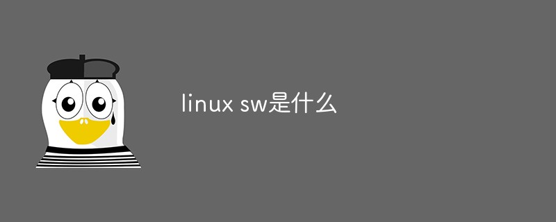 linux sw是什么-站長資訊網