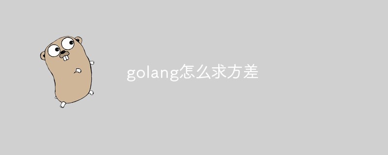 golang怎么求方差