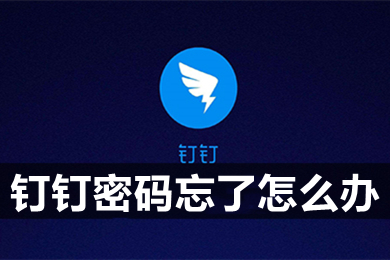 釘釘密碼忘了怎么辦 釘釘密碼忘了怎么重新設置