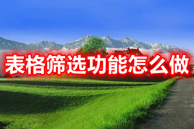 表格篩選功能怎么做 表格篩選怎么操作